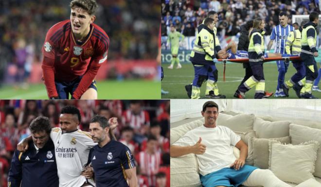 得了球迷的 得了球迷的