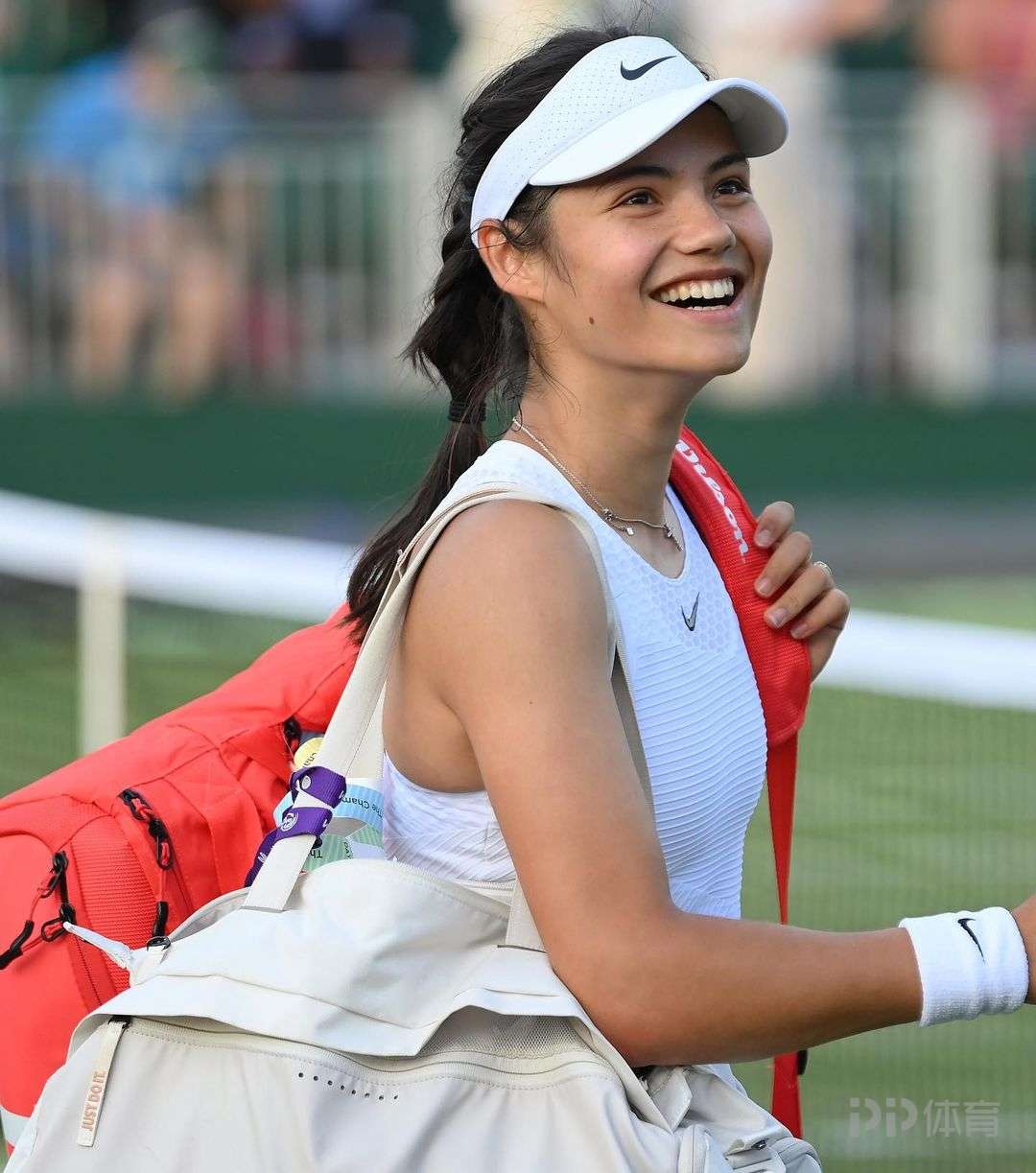 德国足球的 德国足球的